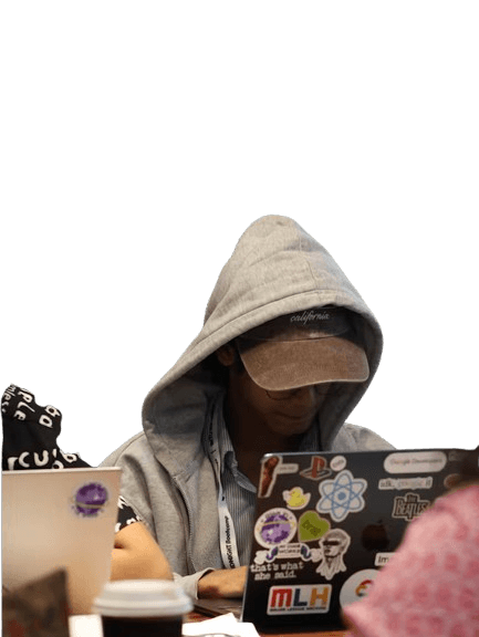 Developer